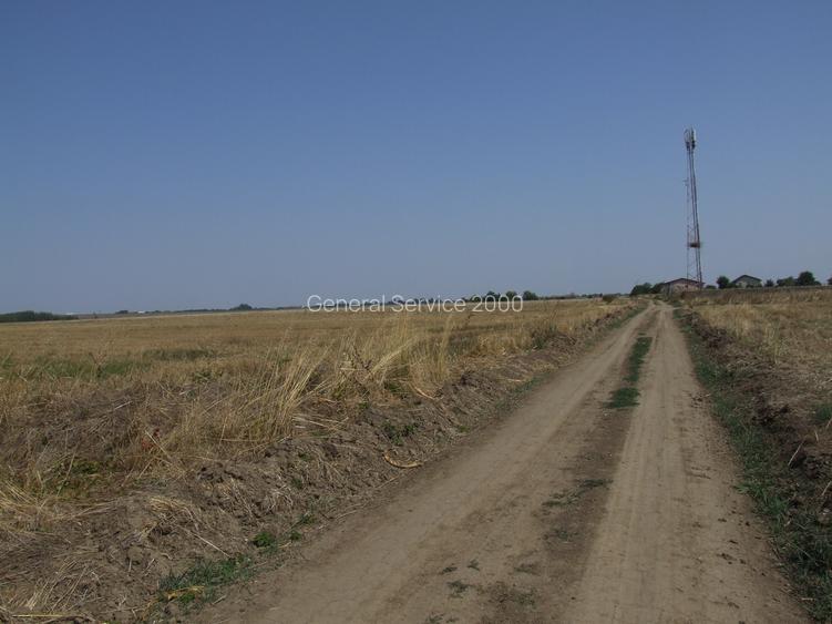 Domnesti-Teghes, teren 9.817 mp strada Pinului - 5