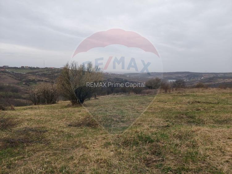 De vânzare teren intravilan, 1.505 mp - Paleu - 4