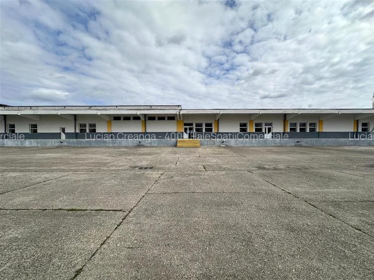 Hale/ spatii de inchiriat in jud. Iasi, Pascani, de la 500mp la 5000mp - 3