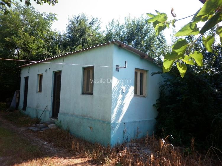 Vidra, teren intravilan 4.800 mp (sau 1.200 mp) - 9