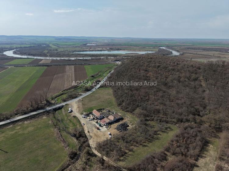 Oportunitate Investitie! Proprietate comerciala/industriala în Paulis - 2