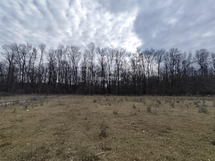 Proprietar,Sos.Pipera,lângă pădurea Băneasa,teren 950mp,vile MANOR,Oxford Gard. - 5