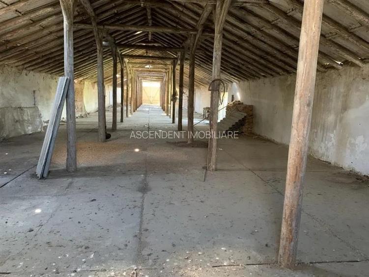 Spatiu comercial/Industrial multifunctional: productie, depozitare, logistica, R - 2