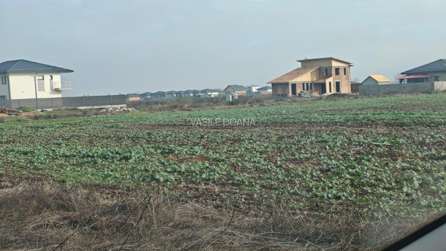 Teren construibil  extravilan , 37000 mp -com Vidra / iesire Berceni, Ilfov - 10