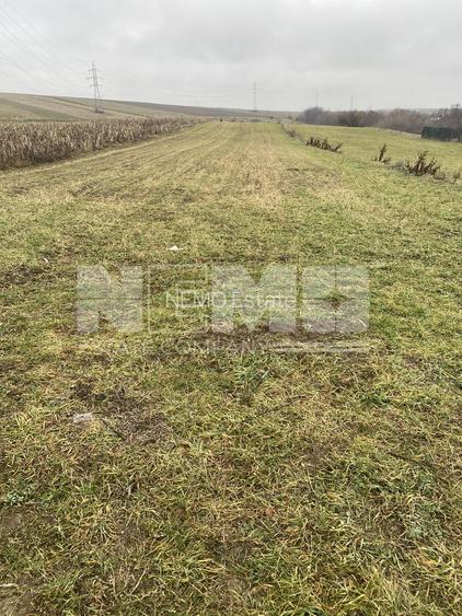 Teren Burdujeni | Zona Tarinca | 41 Ari - 2