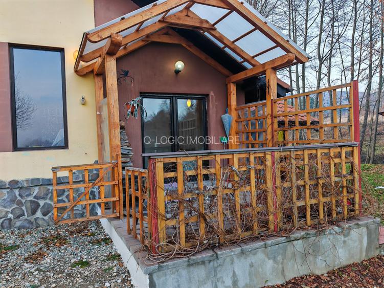 Casa 4 camere libera la vanzare, pozitie deosebita VULCAN - 29