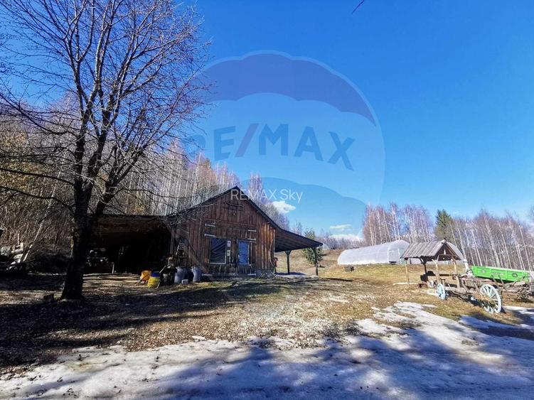 6,2 ha + business turistic activ | Munții Apuseni - 4