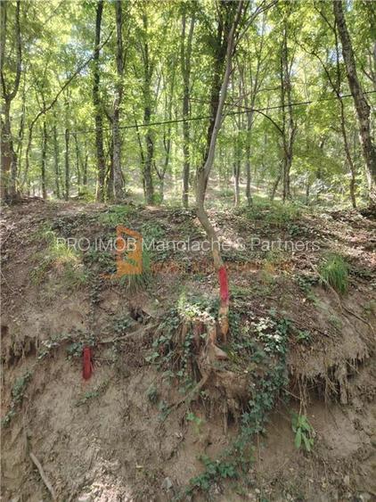 Teren intravilan zona Monteoru - 9