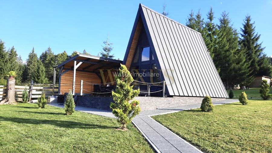 Teren 34,5 ari + cabana A-frame Colibita – ideal pentru resort, spa sau pensiune - 10