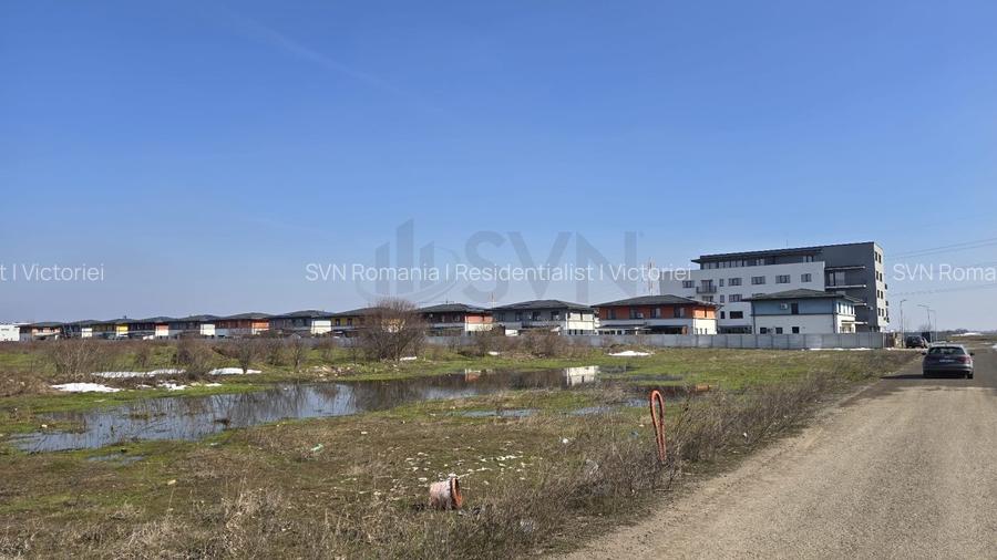 REL4001285 Teren investitie I Berceni - 4