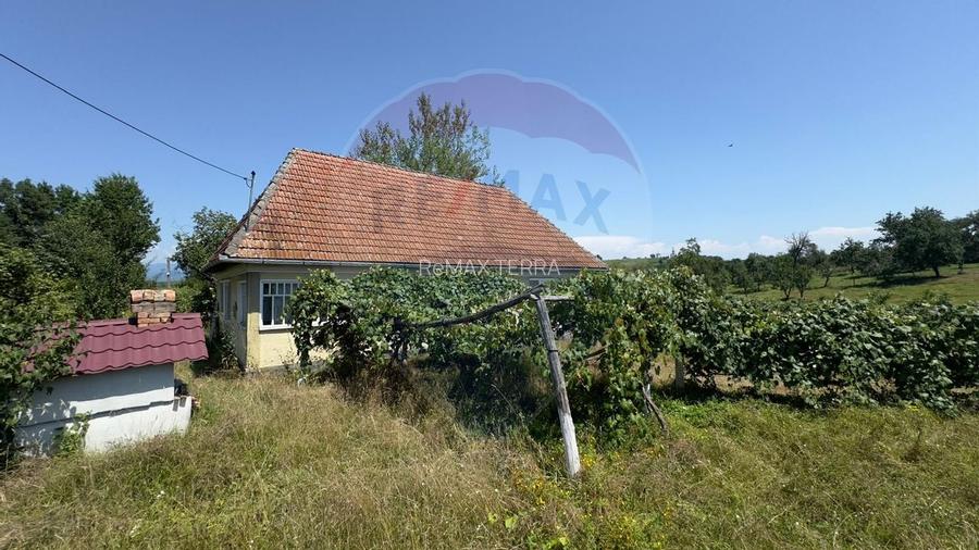 Casa cu teren De Vanzare in Ariesul de Padure - 3