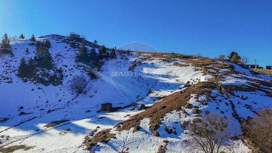 Comision 0%| Teren intravilan Sirnea 3756 mp| Priveliste superba - 11