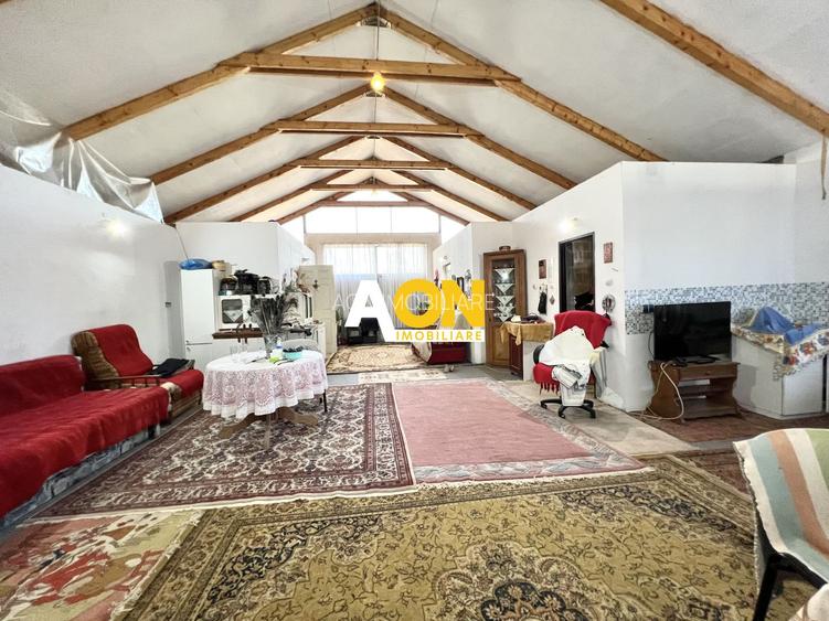 Ferma de vanzare cu 550MP utili si 27.500MP teren la asfalt - 15