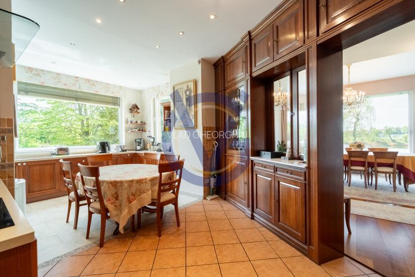 Domeniu 4168 mp. la Lac, cu Parc si Vila Grandioasa, in S1 Bucuresti-COMISION 0% - 36