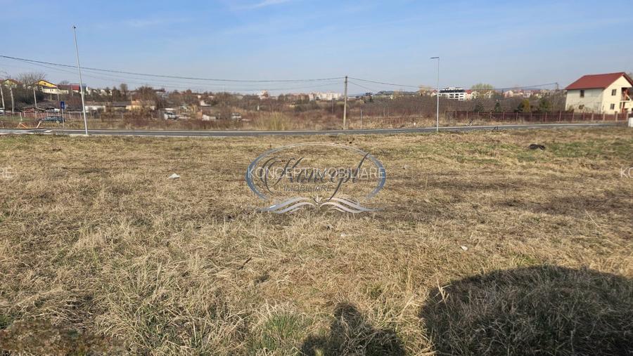 Teren duplex, cu PUZ aprobat in Buna Ziua - 3