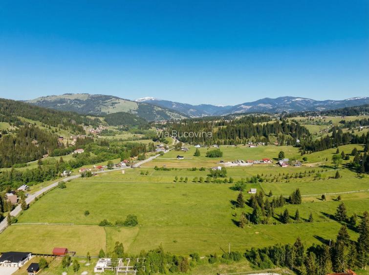 Vanzare 16700 - 9 loturi - Plaiul Sarului la sosea- microdezvoltare langa oras - 2