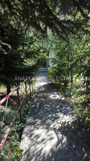 Breaza Judet Prahova casa de exceptie - OFERTA - 9