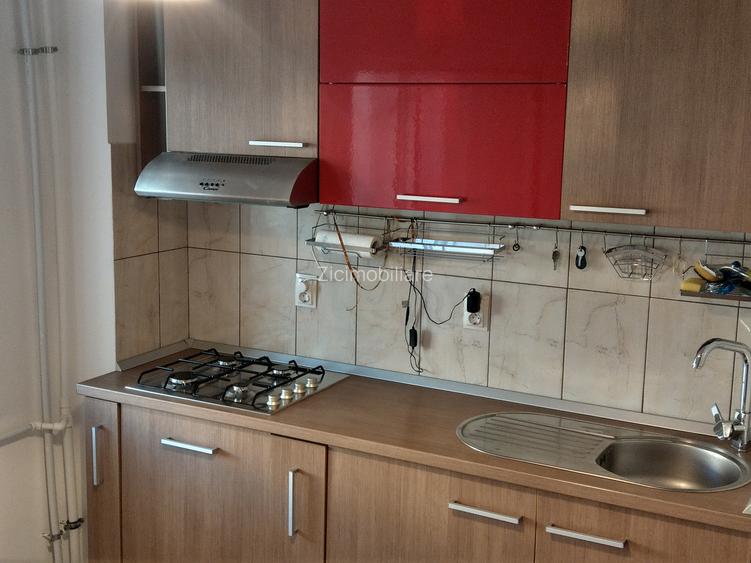 Apartament 3 camere Suprafață generoasă Etaj 1 Brâncuși – Valea Largă - 10
