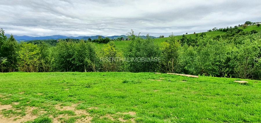 Teren pentru casa de vacanta , Pestera , Brasov - 3