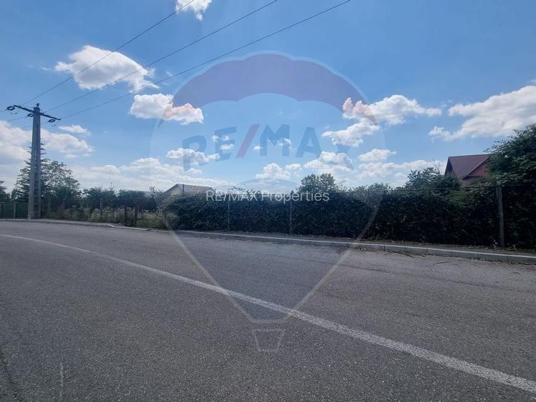 Teren intravilan 11.500 mp – Strada Cismari Vălenii de Munte - 4