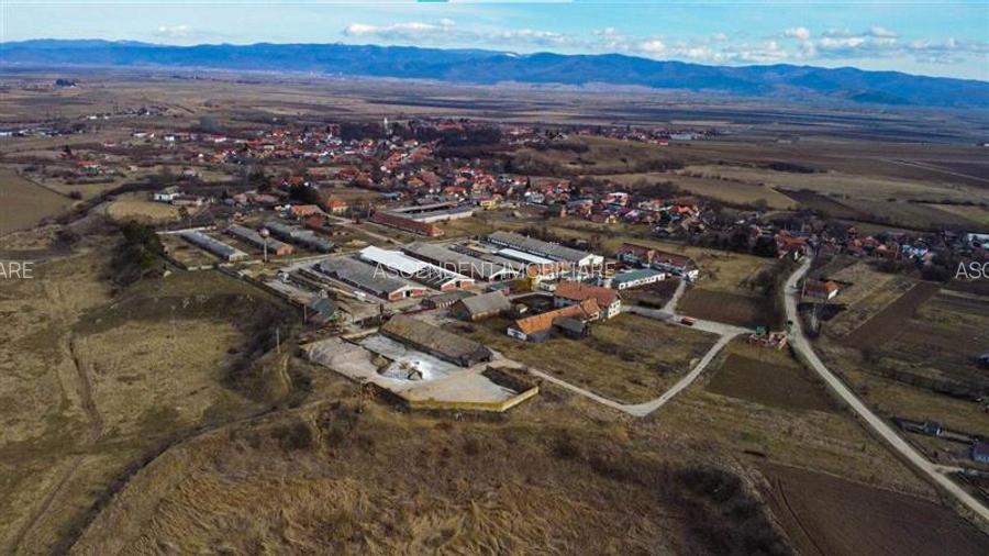 Ansamblu agrozootehnic cu renume,dotat +valoare exceptionala+potential versatil, - 41