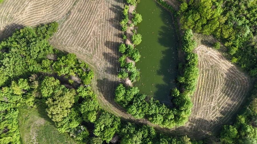 Teisori domeniul verde cu baltă de pește ,Neajlov,,Padure - 7