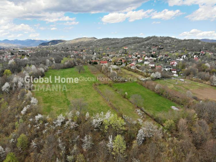 Mountain Plateau - 23.345 SQM - Exclusive Estate | Jud Prahova - Valea Prahovei - 8