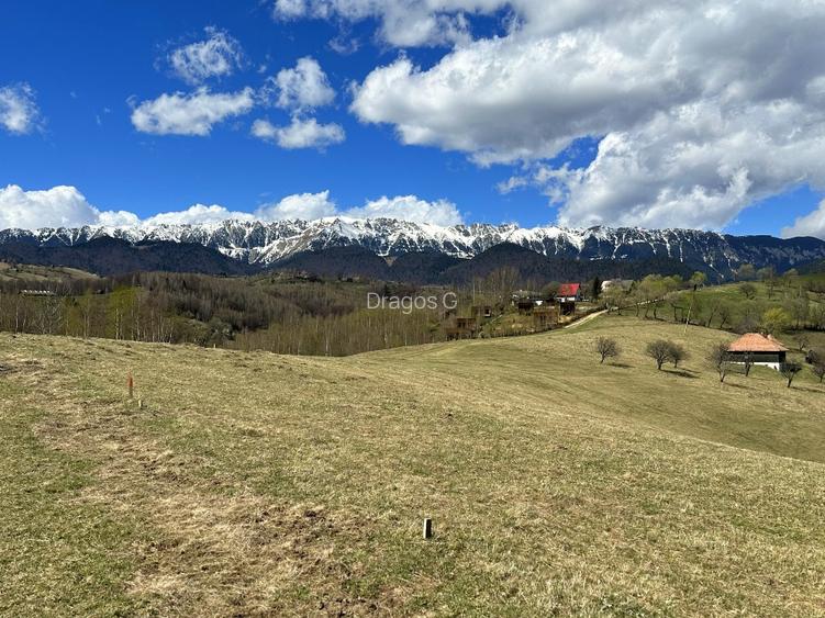 Teren 1550 mp, sat Pestera, zona Bran-Moieciu, jud. Brasov - 8