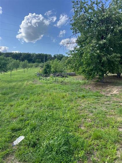 RECO TEREN CU PIVNITA IN PETREU - 3