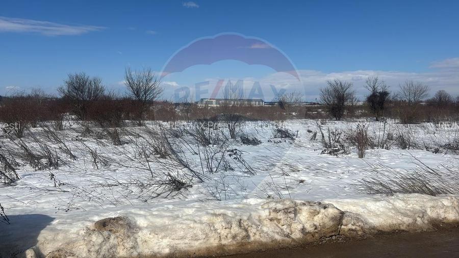 Teren 9,000mp Buftea / Strada Randunelelor - 3