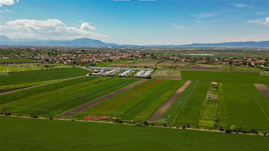 FILM! Teren extravilan 5.000 mp in zona linistita cu acces facil, Bod, Brasov. - 5