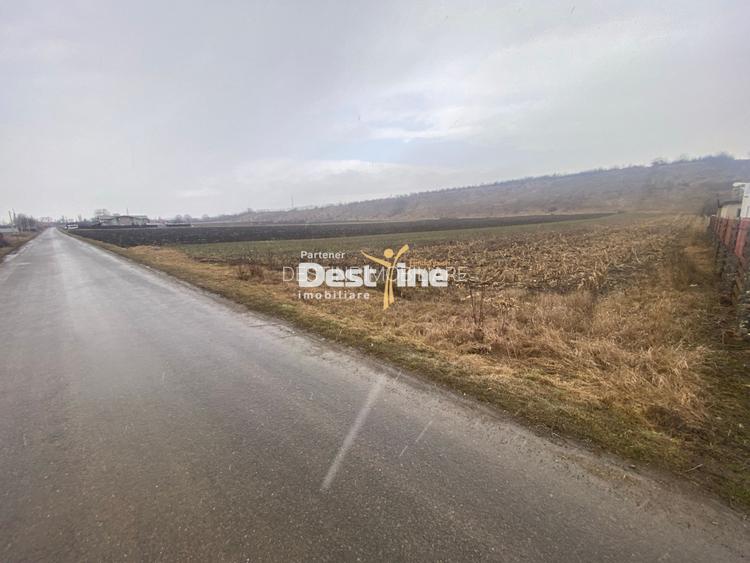 Teren de vanzare Girov 24.500 Euro 3200MP - 5