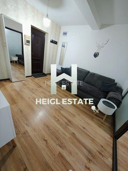 Apartament cu 2 camere si terasa in Calea Lipovei - 3