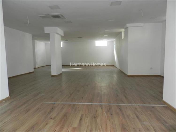 Spatiu comercial de inchiriat – 97 mp utili – 2 intrari – Cartier Alma - 3