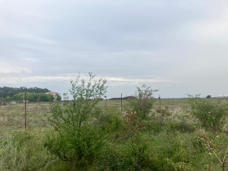 Ciorogarla strada Pădurii - 2