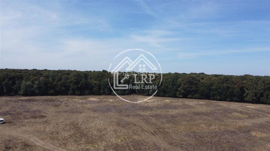 Teren Voluntari-Pipera | 3.700mp | Zonă Pădure & Școli Internaționale - 8