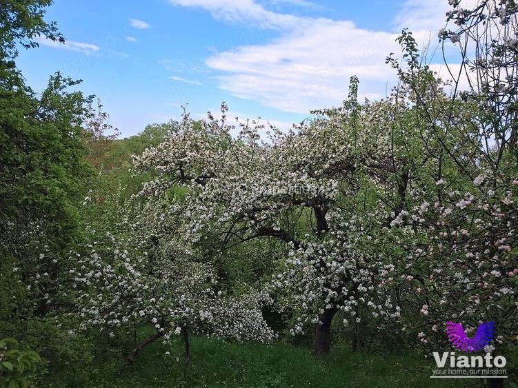 Casă în Poiana Sibiului | 909 mp teren | livadă și anexe gospodărești - 8