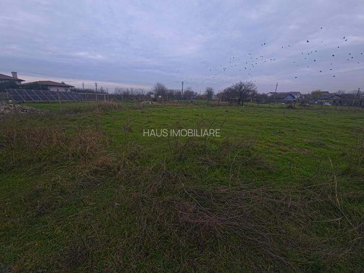 Teren intravilan 509 mp Techirghiol - 4