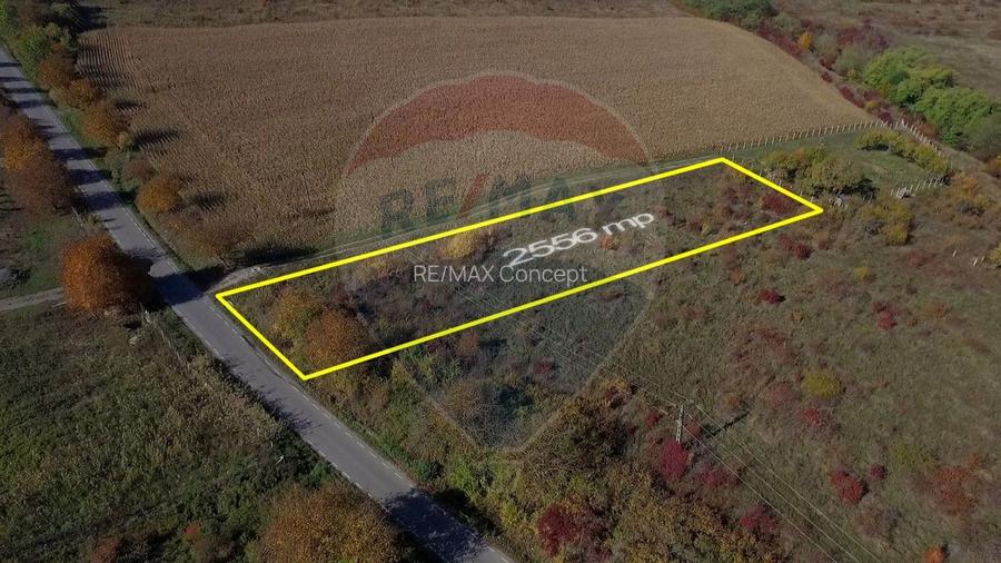 Teren Pădureni (Chinteni), intravilan, parcelabil - 11