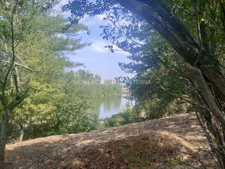 Teren superb  1100mp lac Găneasa - 7