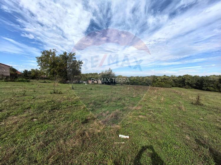 Teren 5,600mp Finteusu Mic / Strada Principala - 10