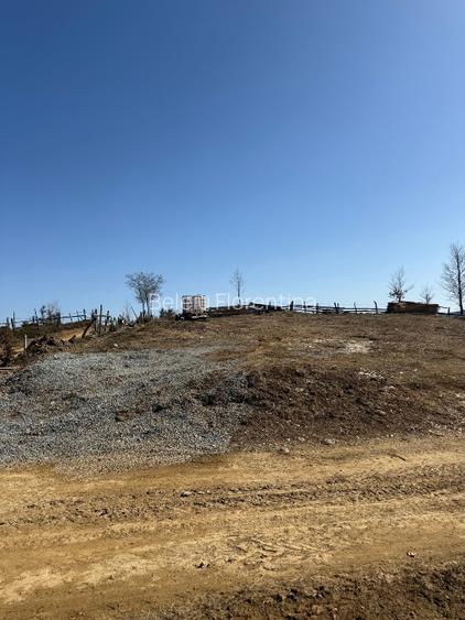 Teren de vânzare în zona de munte  - 5