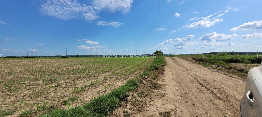 TEREN AGRICOL BABENI LANGA ABATOR LA PROVINCIA - pretabil ferma cu panour solare - 21