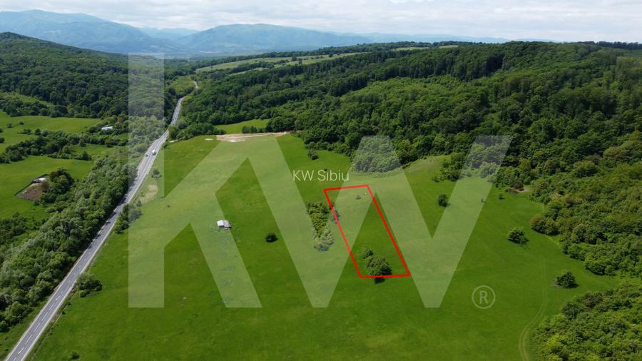 Teren de vânzare – 4.000 mp la intrare in Bradu, județul Sibiu - 2