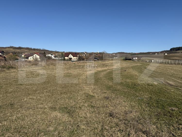 Teren intravilan in localitatea Hereclean in suprafata de 5800 mp - 6