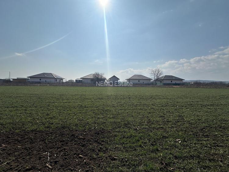 Teren intravilan 20 ari | Rădăuți | Front stradal 19.49 m - 4