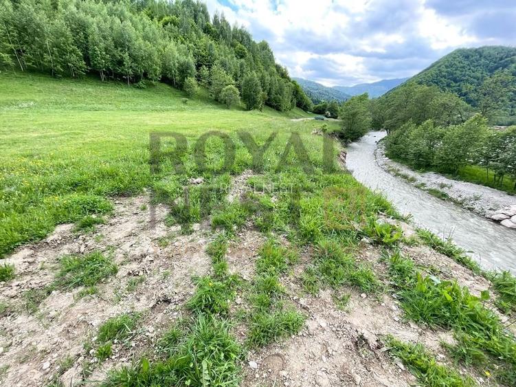 COMISION 0%! Teren superb la Plaiul Foii, pe malul Barsei - 6
