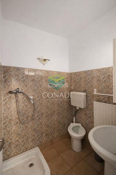 Casa la curte zona Timpuri Noi Vitan - 26