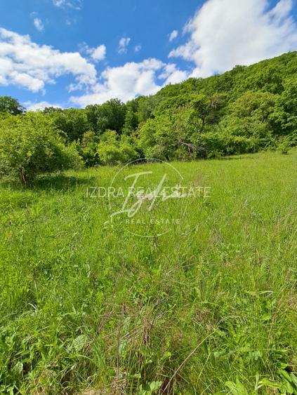 Teren de vanzare in Vii,  Podul Olt - 3