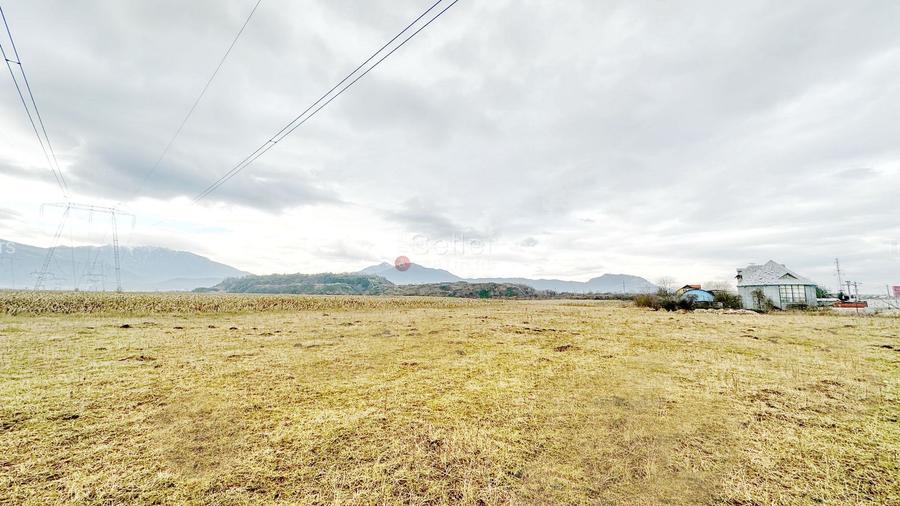 Teren Intravilan - Pretabil Constructie Industriala - 4